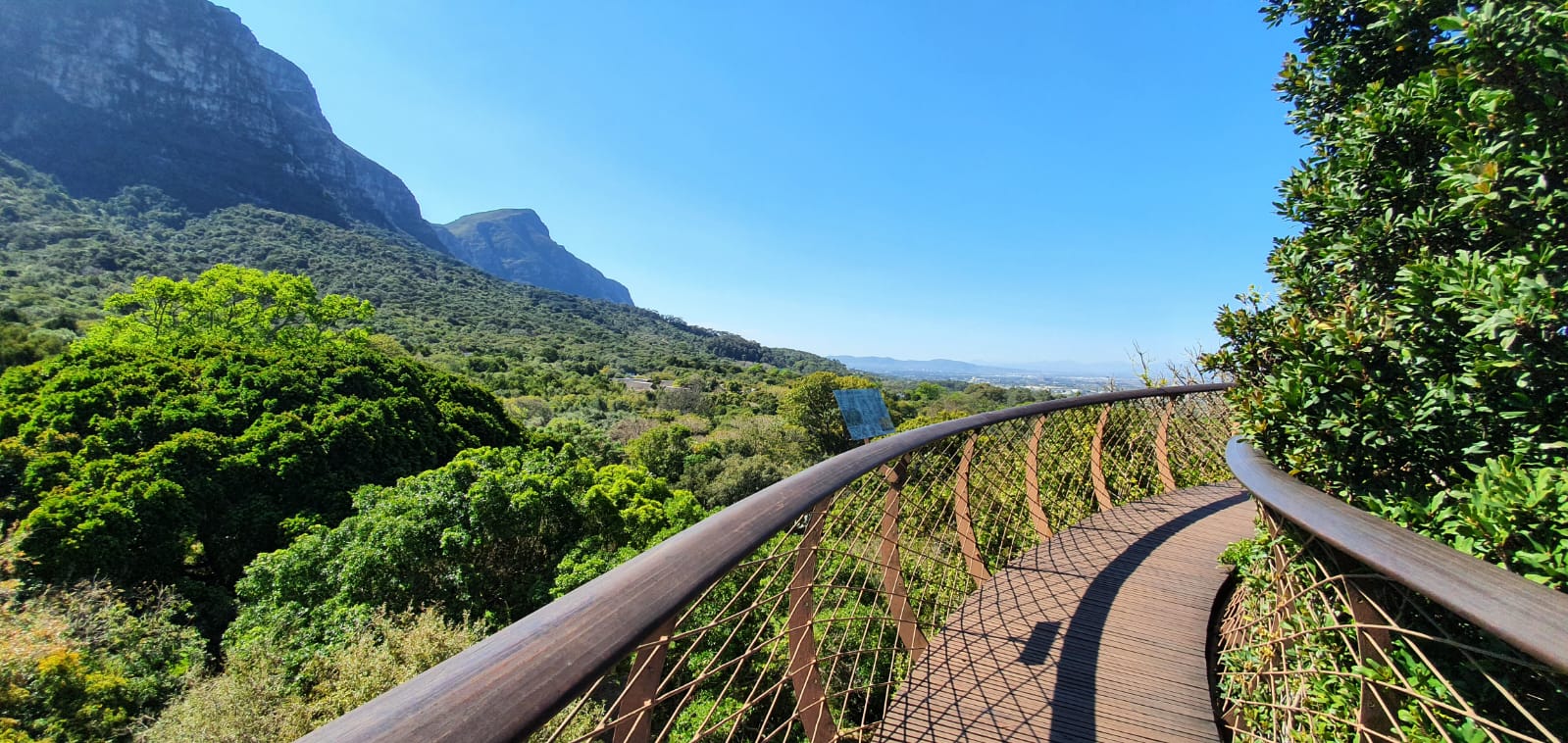 Pasarela panorámica de Kirstenbosch en una ruta flexible